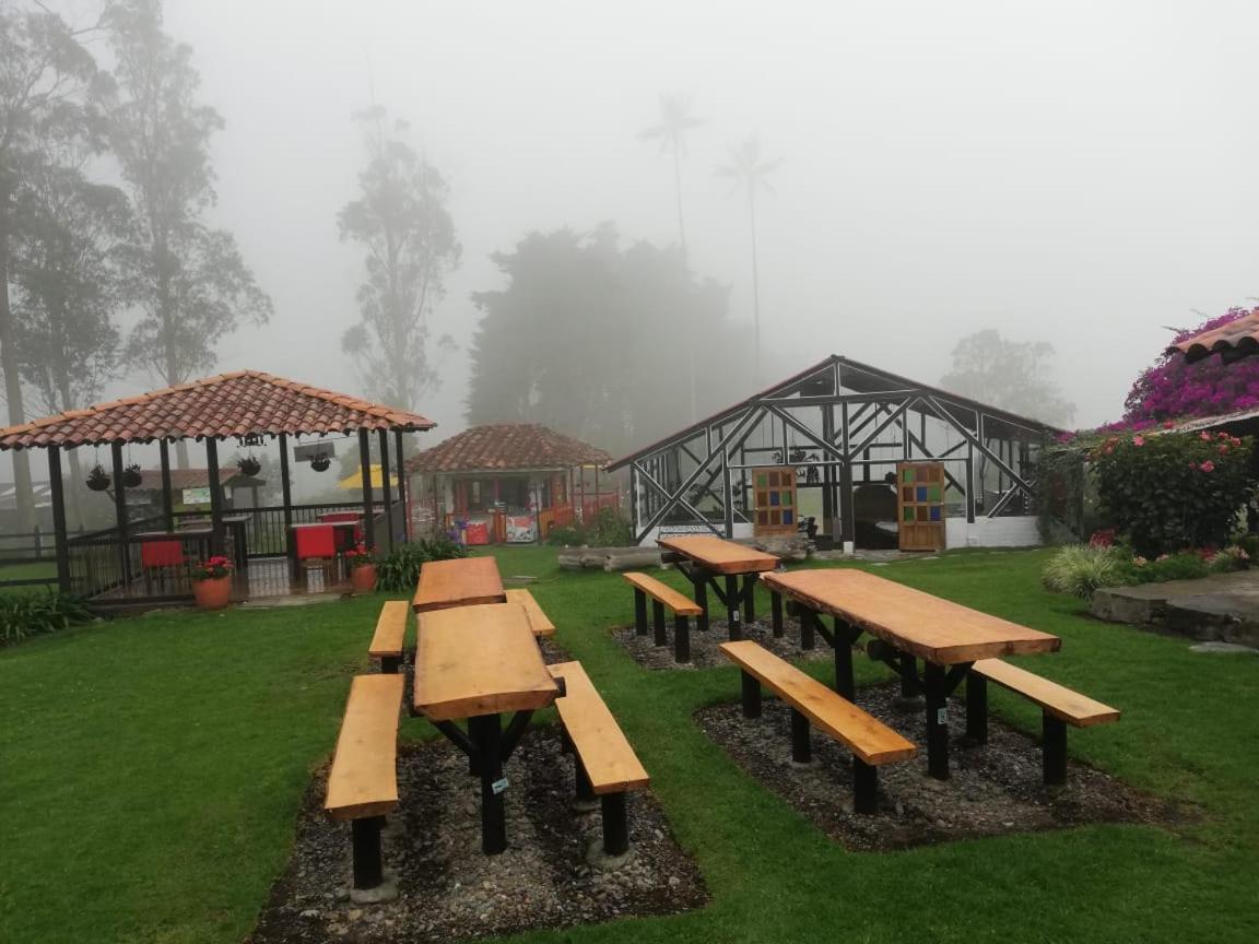 בית הארחה סאלנטו 	Palmas De Cocora מראה חיצוני תמונה